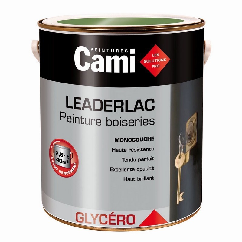 Peinture Cami-Gmc 0.5l et 2.5l en promotion Peinture Cami-Gmc 0.5l et 2.5l en promotion