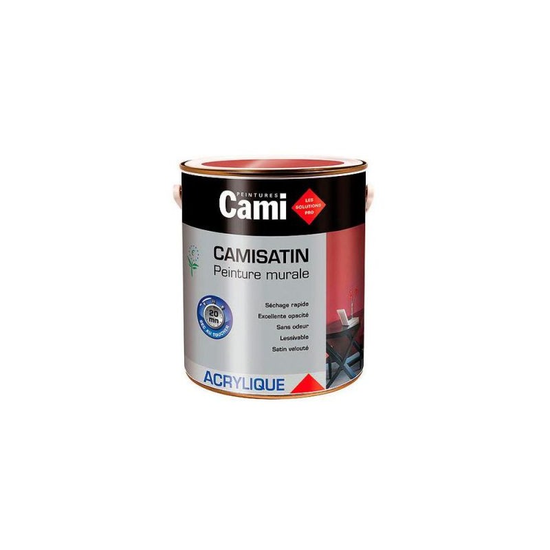 Peinture Cami-Gmc 0.5l et 2.5l en promotion Peinture Cami-Gmc 0.5l et 2.5l en promotion