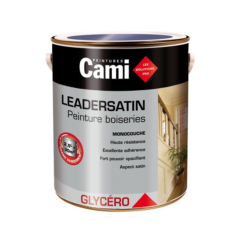 Peinture Cami-Gmc 0.5l et 2.5l en promotion Peinture Cami-Gmc 0.5l et 2.5l en promotion